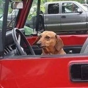 Meet your Posher, Ricky